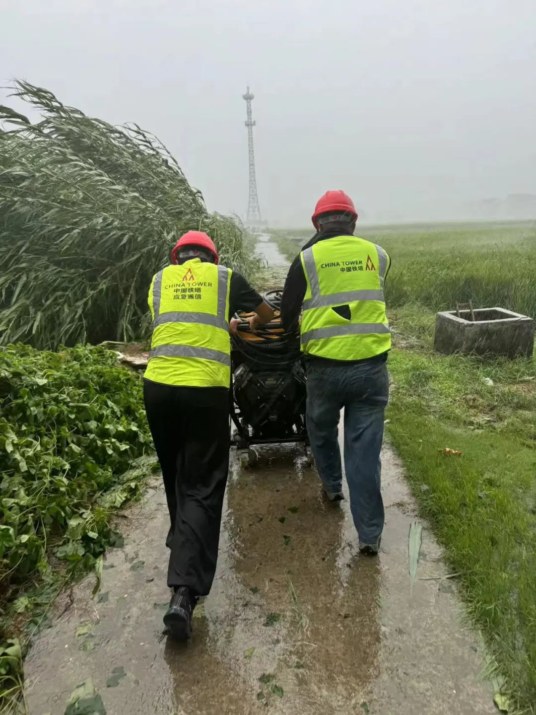 堅守一線，力保通信---記依網科技上海鐵塔項目部奮戰(zhàn)“貝碧嘉”